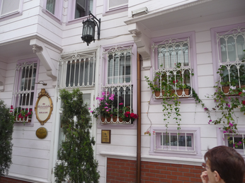 P1040411.JPG 3456x2592 index 167